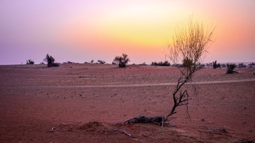 Free stock photo of desert, inspirational, red sand Stock Photo