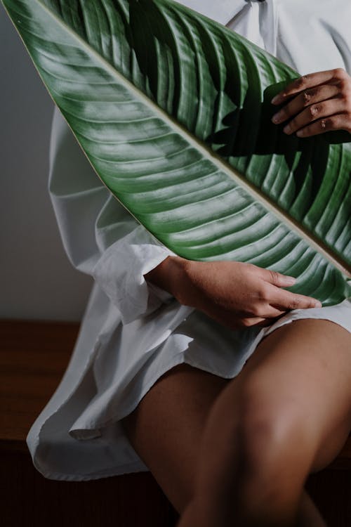 Person Holding Green and White Textile