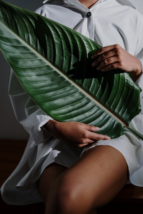 Person in White Shirt Holding Green Leaf