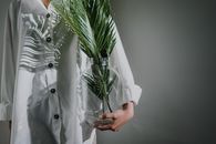 一个人拿着玻璃花瓶，里面种着郁郁葱葱的蕨类植物，在室内的白衬衫上投下艺术的阴影