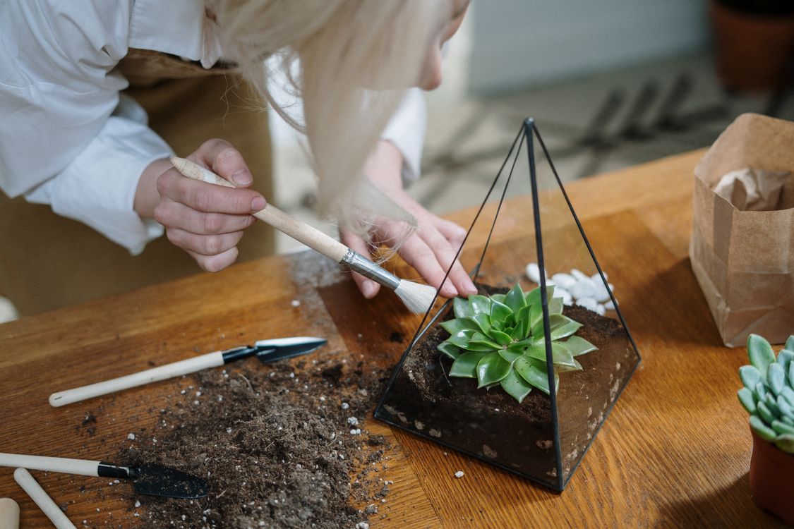 Create and Sip: Terrarium Workshop