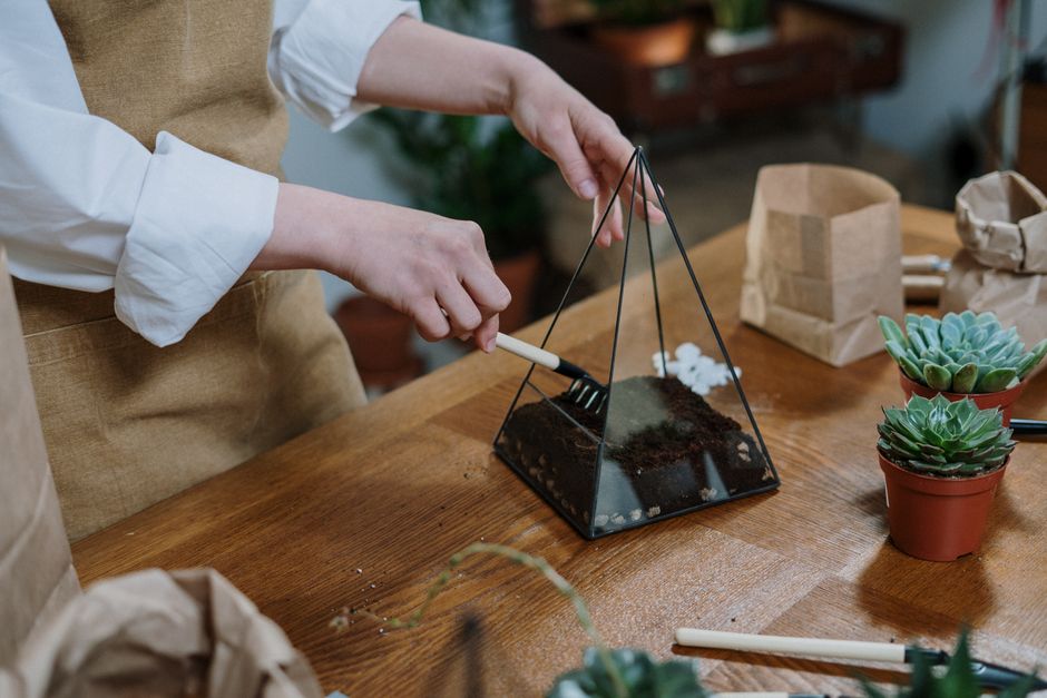 The layering process: adding pebbles, then charcoal, then moss, and finally soil in a glass bowl - succulent terrarium layers The layering process: adding pebbles, then charcoal, then moss, and finally soil in a glass bowl - succulent terrarium layers