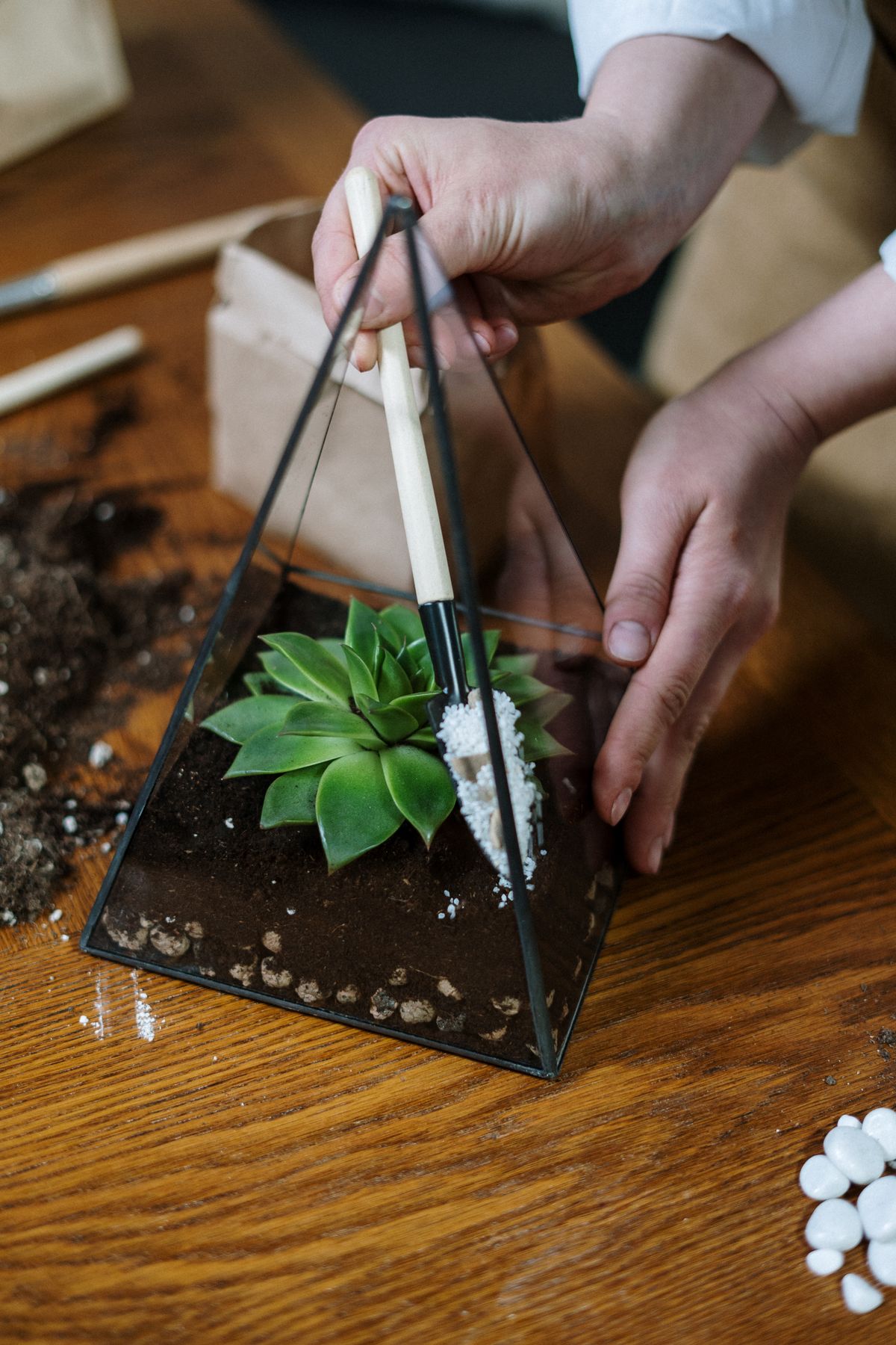 Pruning shears and watering can for plant care