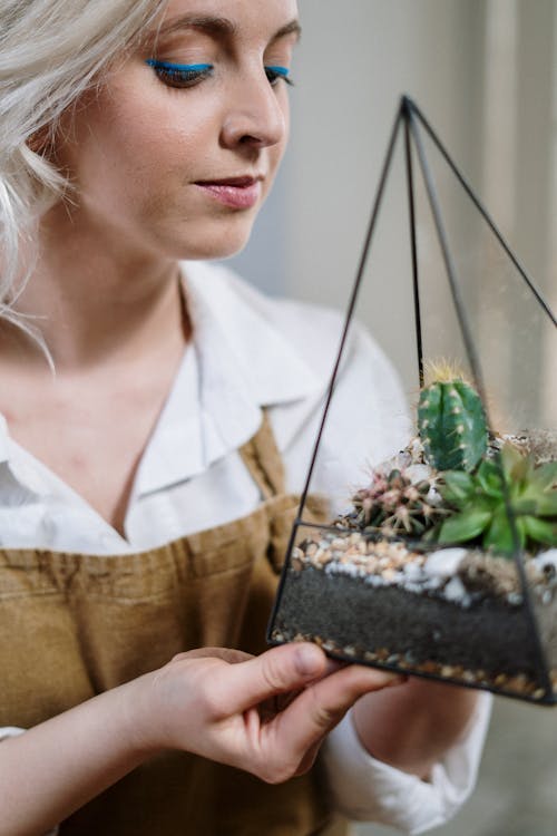 Gratis lagerfoto af blomsterdyrkning, blondine, flora