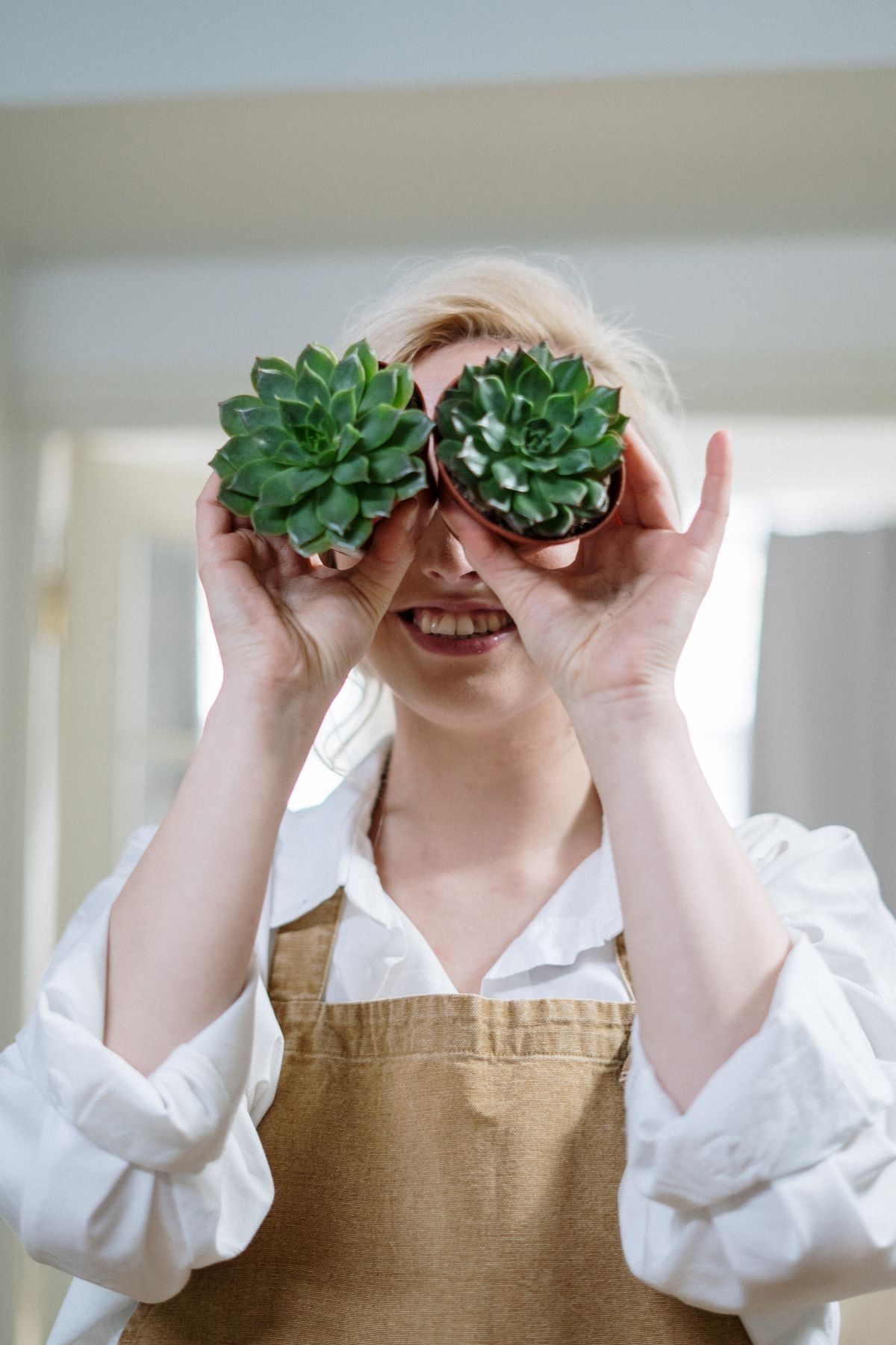 Accessoires et outils pour plantes d'intérieur — protection meubles et entretien sécateur