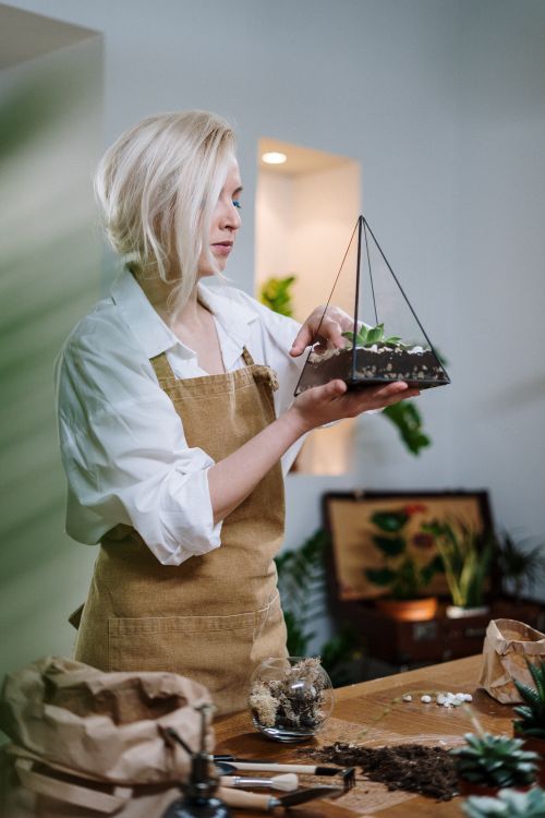 Free Blonde woman cultivating a geometric terrarium with succulents indoors, highlighting home gardening. Stock Photo