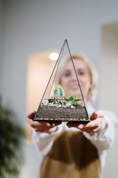 一名妇女手持一个装有室内多肉植物的三角棱镜玻璃器皿的特写镜头