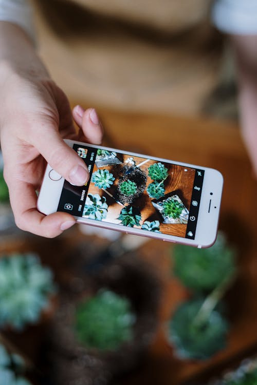 Person Holding Silver Iphone 6