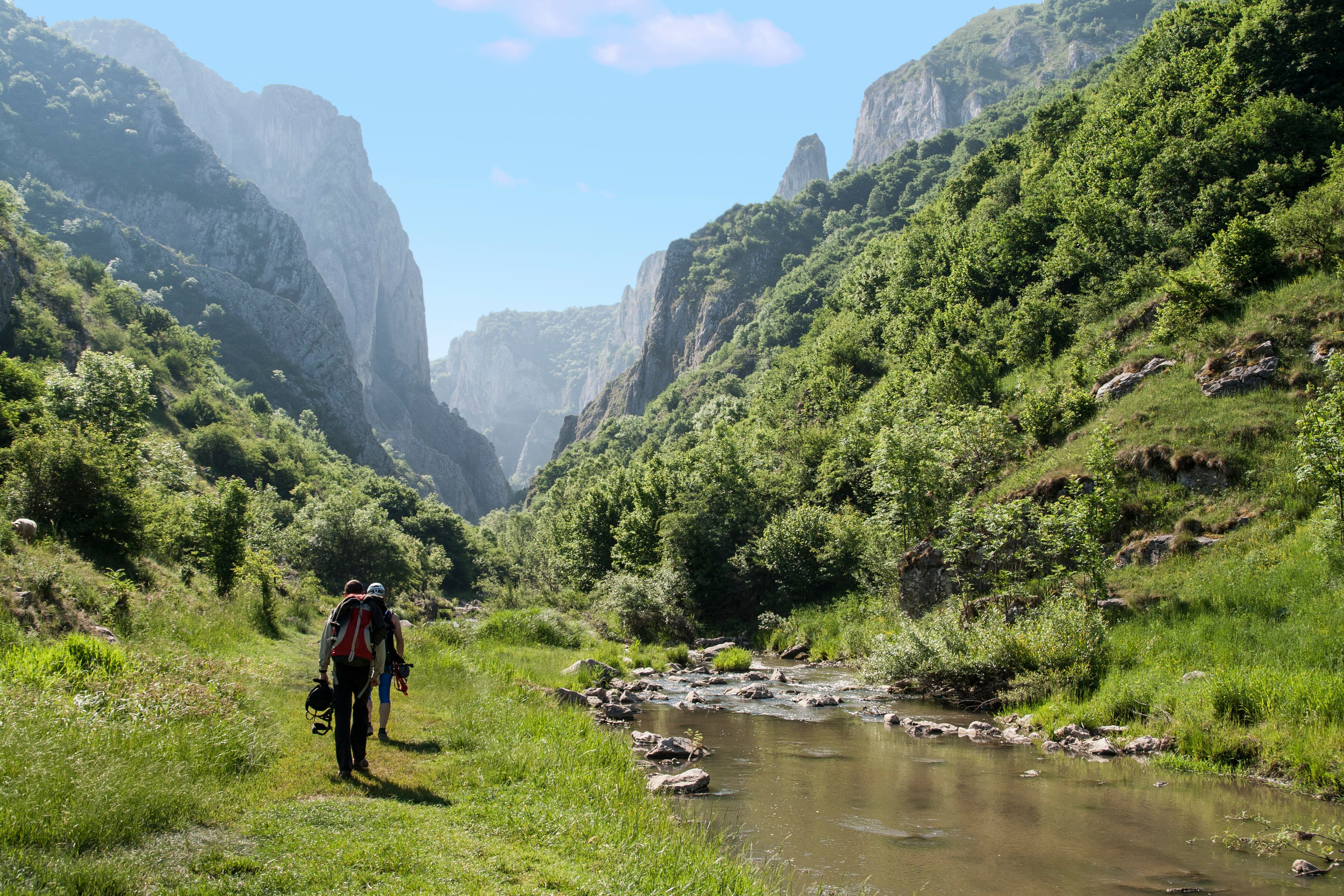 Back view of hikers walking on grassy path near river water flowing among green rocky mountains in sunny summer day