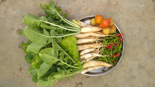 Radish, Tomatoes and Chili Peppers on Metal Plate