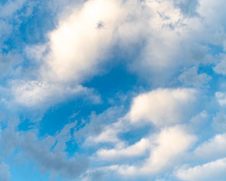 Bright Blue Clear Sky With White Clouds