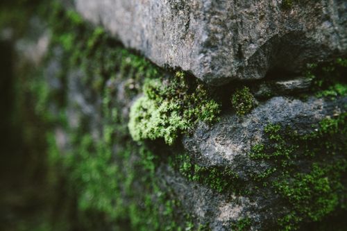 Free Closeup of rough stone boulders covered with green moss in rocky terrain in daytime Stock Photo