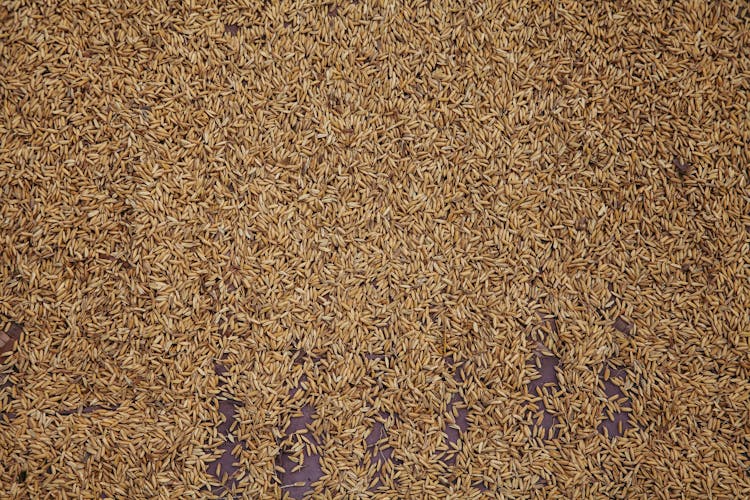 Heap Of Brown Rice Scattered On Table