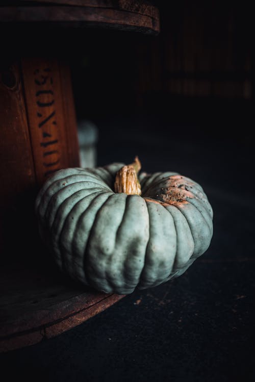 Black and White Pumpkin on Brown Wooden Table