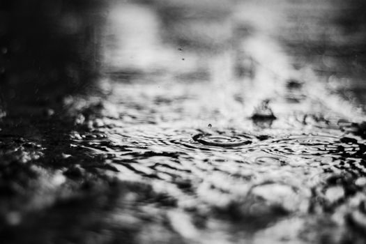Monochrome image capturing water ripples with selective focus and texture.