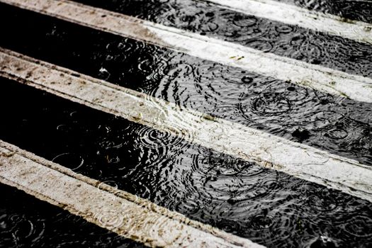 Wet crosswalk with visible raindrops creating ripples on a rainy day.