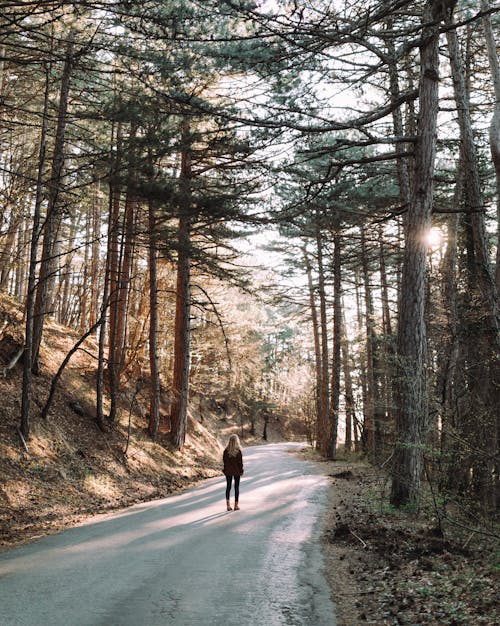 Woman Standing on Pathway Between Trees