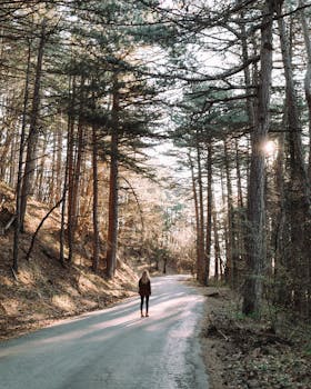 Woman enjoying a peaceful walk on a sunlit forest pathway, surrounded by tall trees.