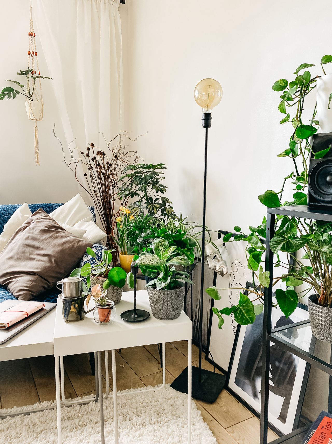 Cozy apartment corner with white shag rug, plants and side table