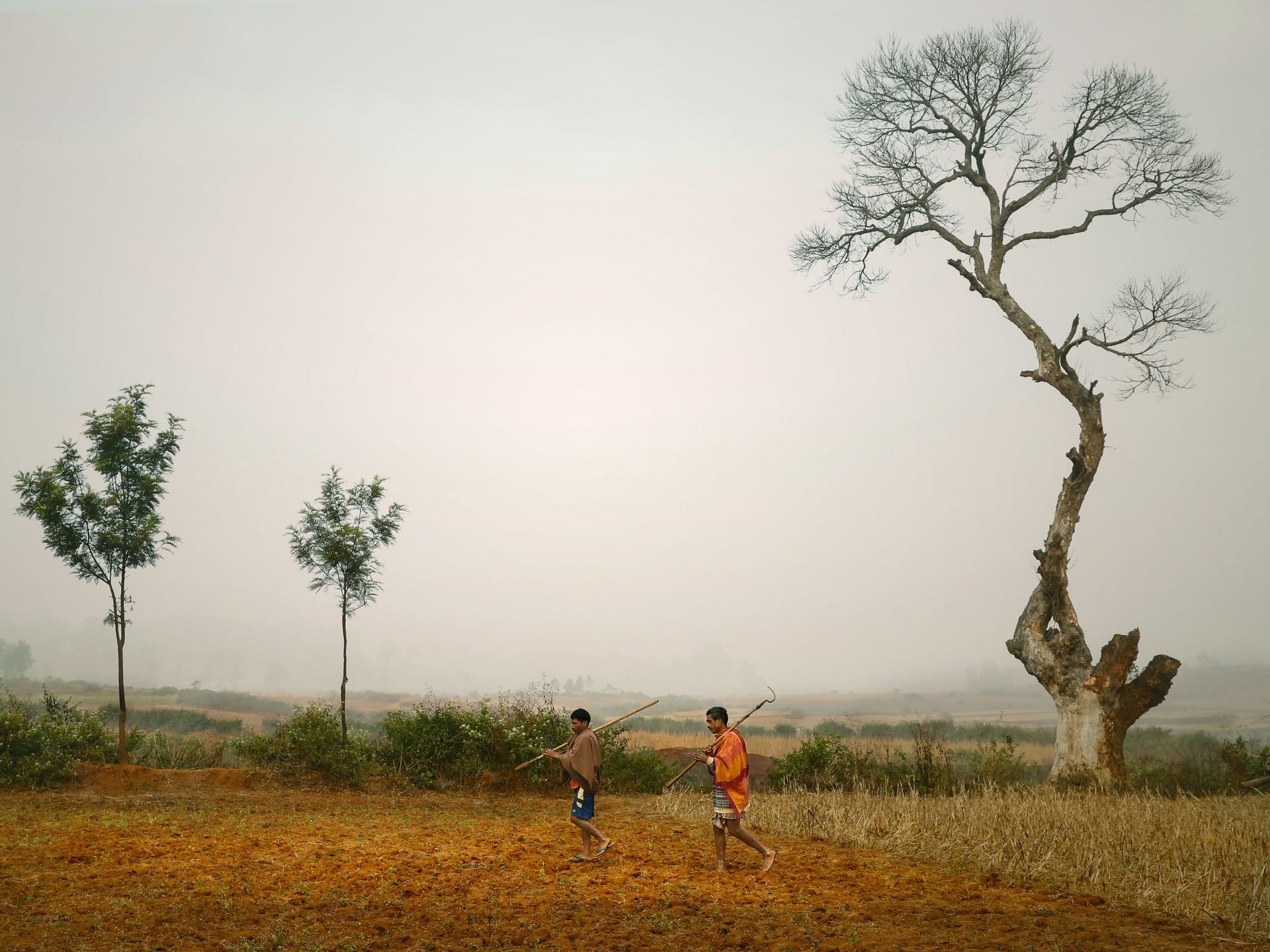 Two farmers walking through a misty Indian field at dawn, with trees and open landscape.