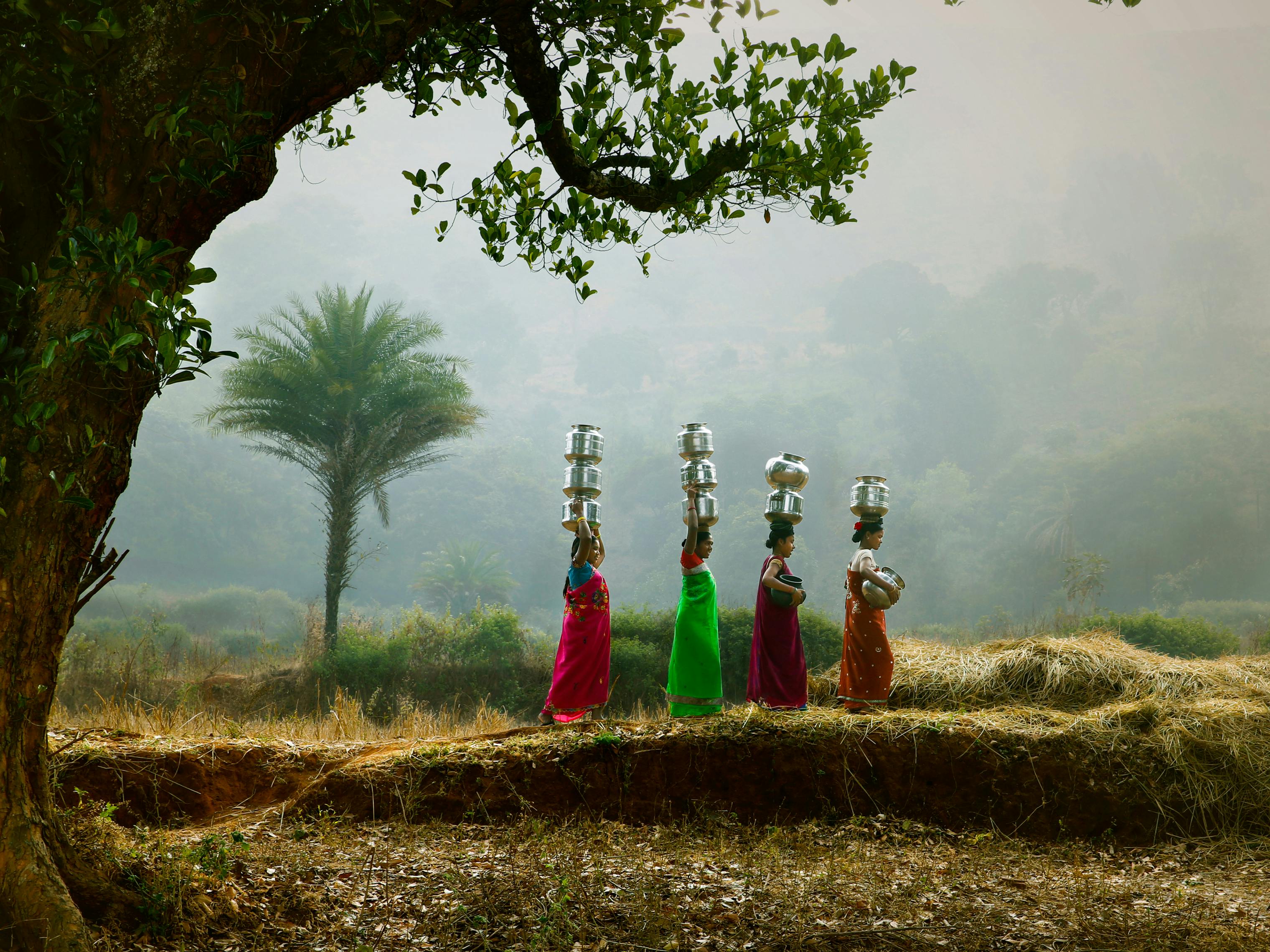 Four women in colorful attire carry pots on their heads through a scenic rural Indian path.