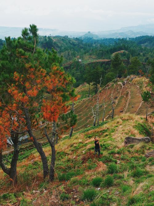 Free A person stands amidst rolling hills and lush forests in East Kalimantan, Indonesia. Stock Photo