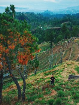 A man standing in a lush, mountainous area in Long Pahangai, East Kalimantan, Indonesia. - Fotografer Sidoarjo