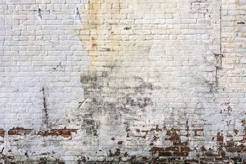Free White and Gray Brick Wall Stock Photo
