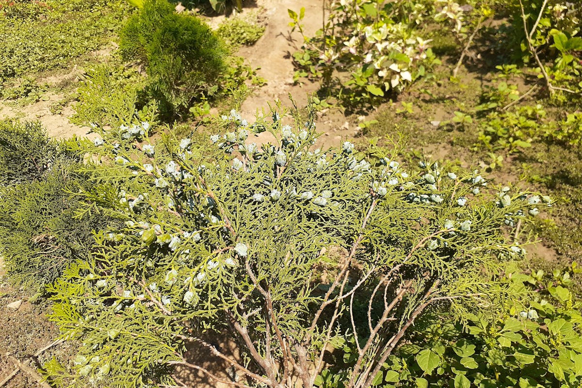 Collins Aerospace 防干擾技術如何革新 2025 年 GNSS 導航安全? Collins Aerospace 防干擾技術如何革新 2025 年 GNSS 導航安全?