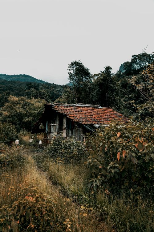 Free Explore the serene beauty of an old cabin nestled in a lush forest setting in India. Stock Photo