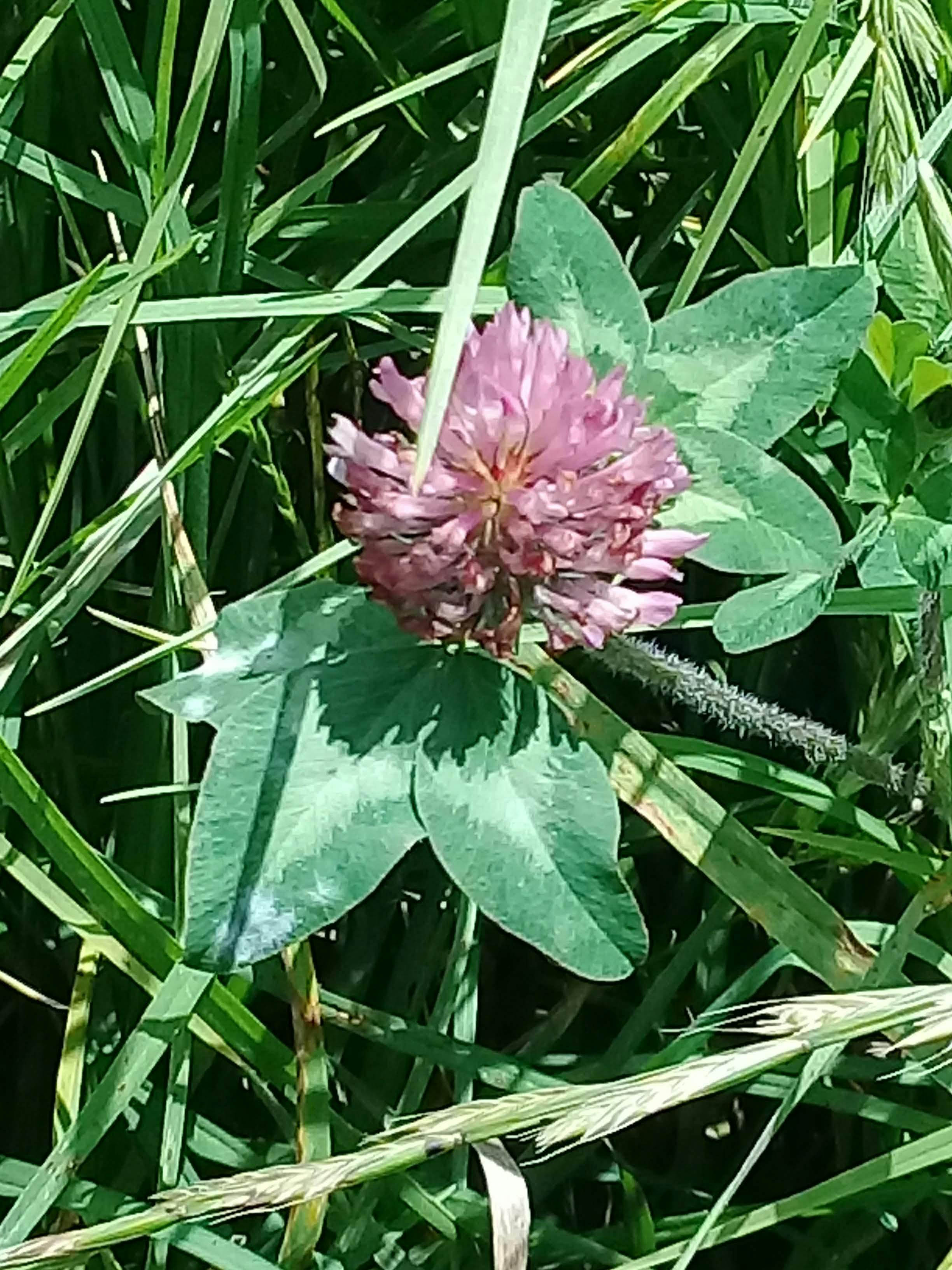 Cozy living room with fireplace and comfortable seating