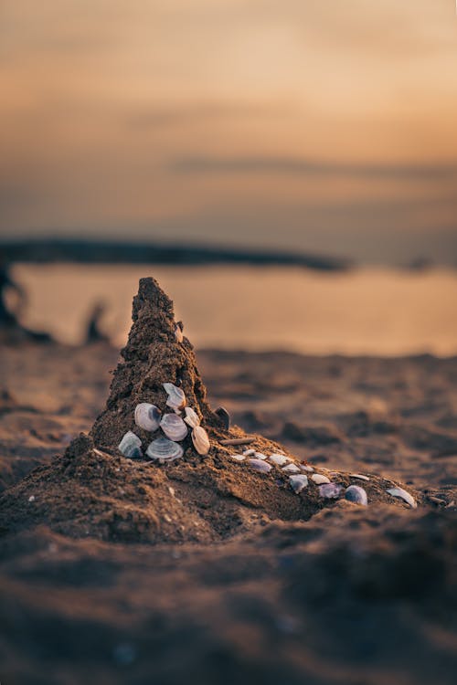 Photos gratuites de brouiller, château de sable, coquillages