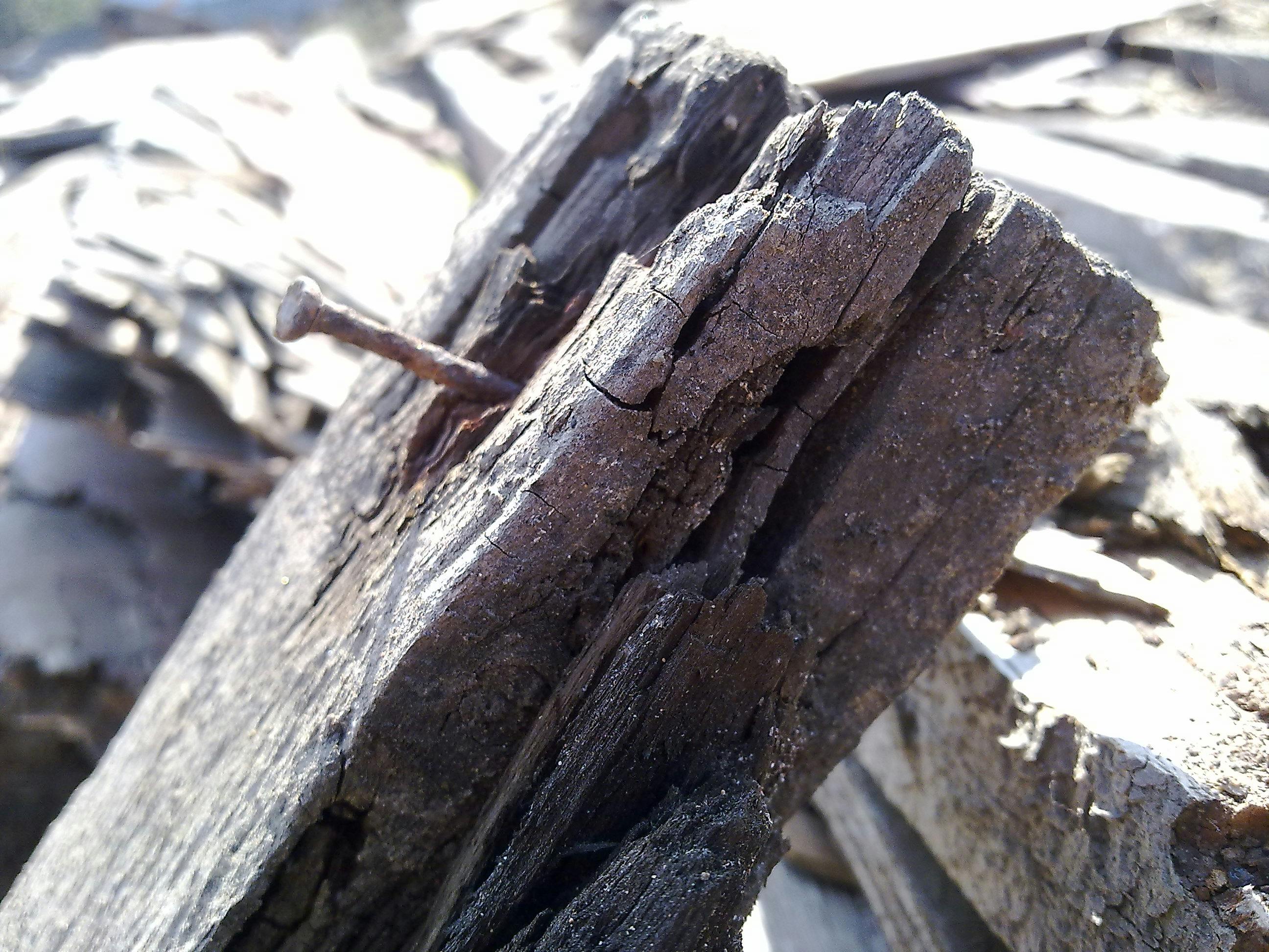 Free stock photo of nails, wood, wooden