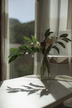 A serene vase of calla lilies with leafy greens catches sunlight by a window, casting soft shadows.