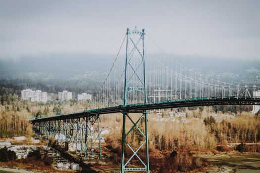 View of Lions Gate Bridge on a cloudy day in Vancouver, showing urban landscape and forest.