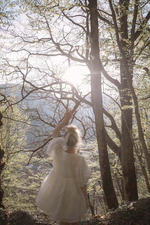 Girl in White Dress Standing Near Brown Tree