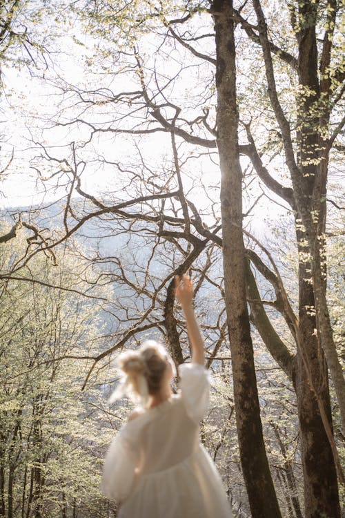 Girl in White Dress Standing Near Brown Trees