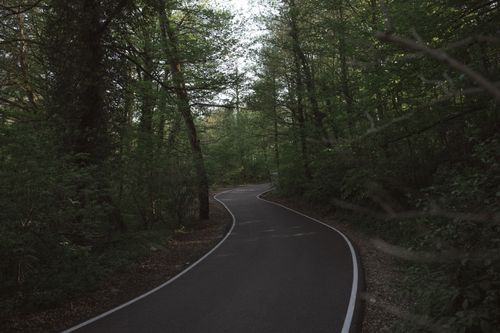 Free A winding paved pathway through a lush green forest, perfect for nature walks. Stock Photo