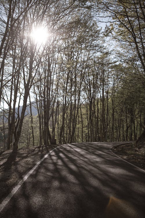 Ilmainen kuvapankkikuva tunnisteilla asfaltoitu polku, asfaltti, auringon säteet