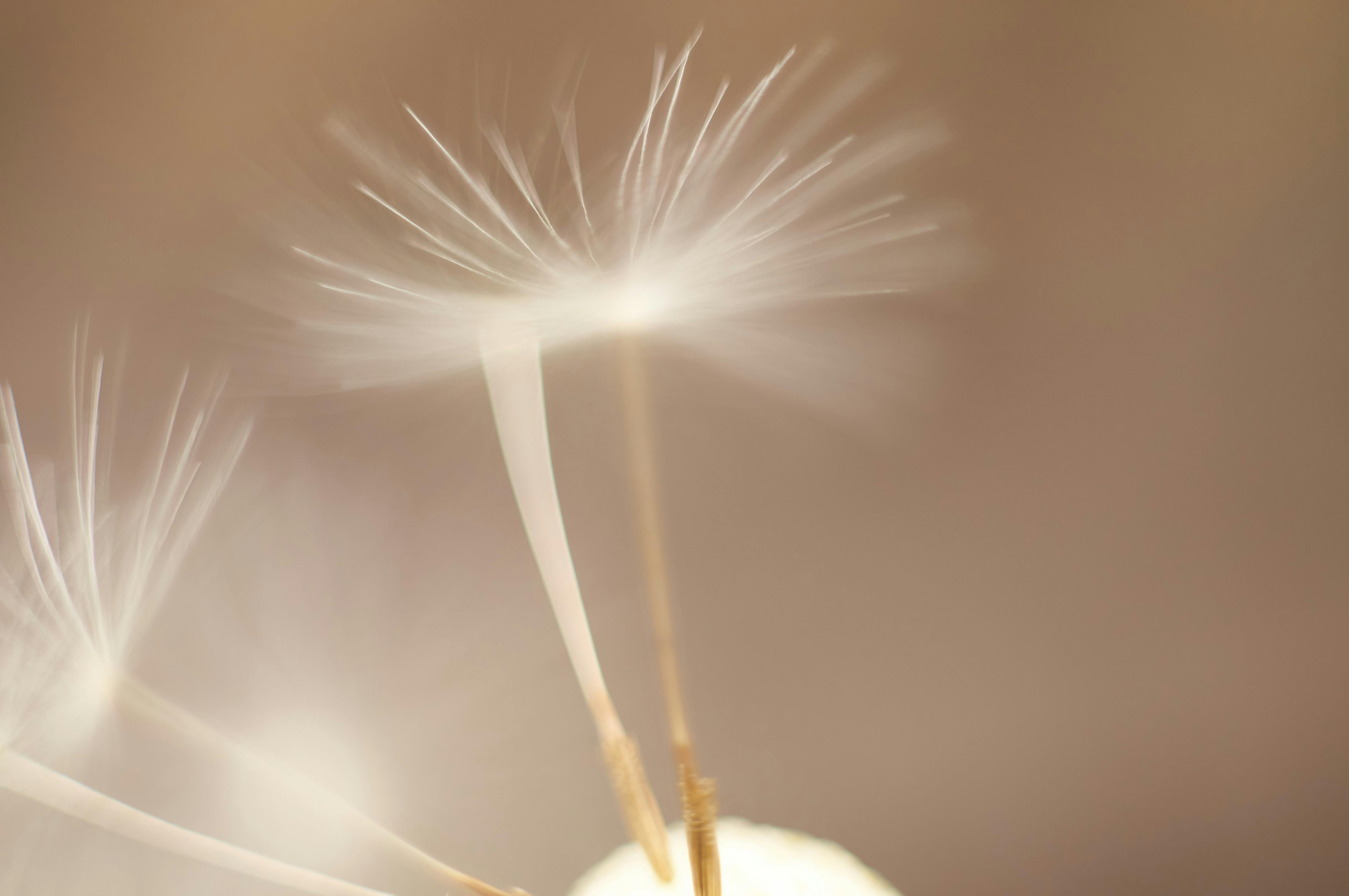 Professional locksmith services