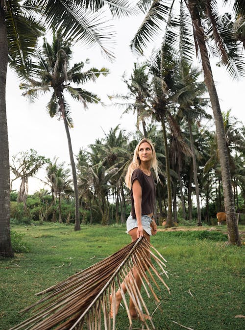 Free Photo of Woman Standing on Grass Field While Holding Dry Palm Leaf Stock Photo
