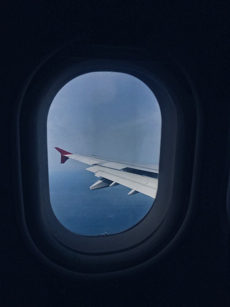 View Of Wing From Airplane Window