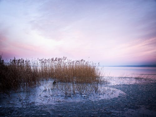 Kostenloses Stock Foto zu atemberaubend, balaton, eisig