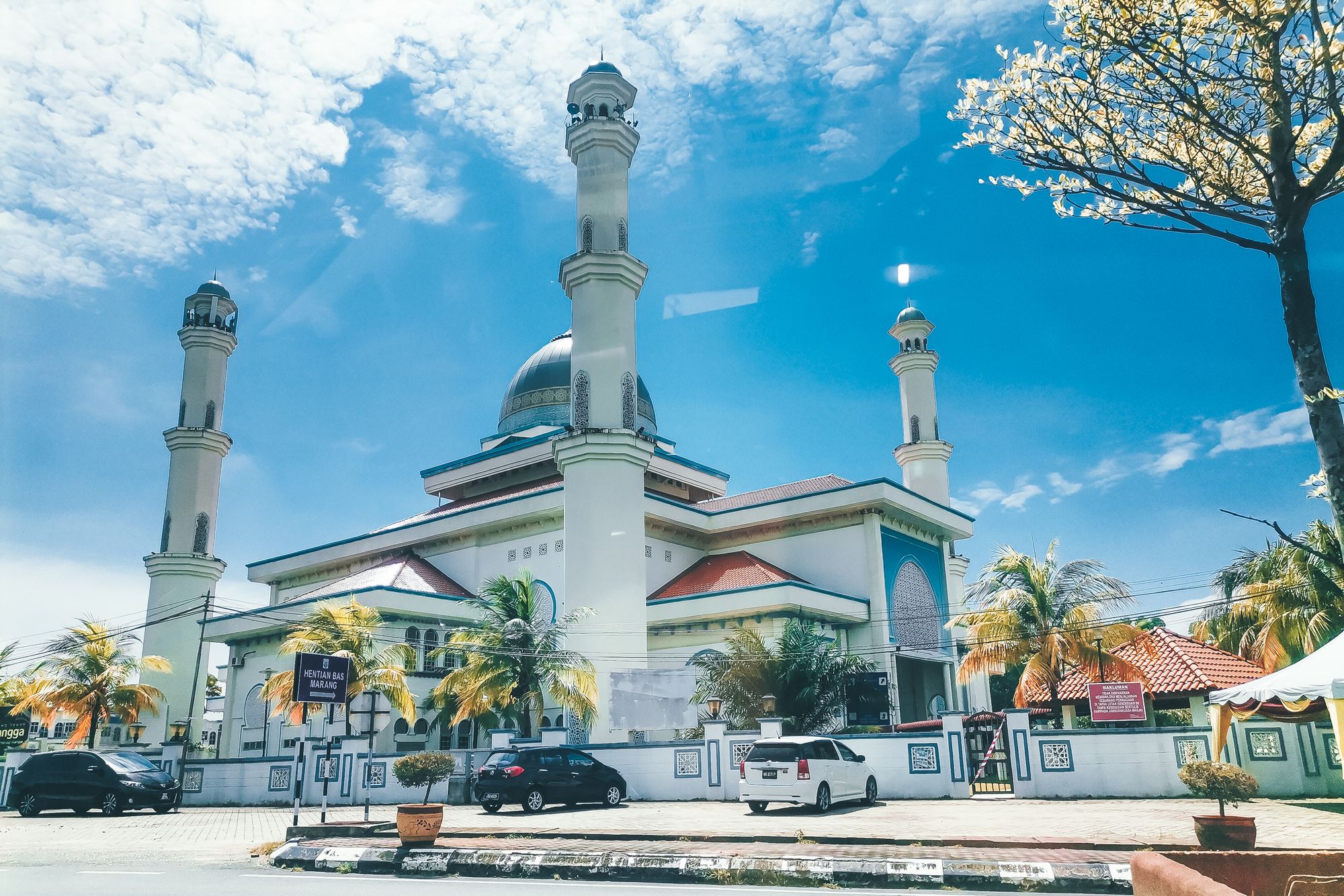Muar