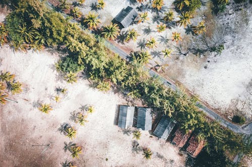 An Aerial View of a Village Bear the Road