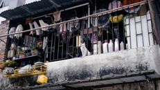 White Cat Sitting on a Balcony with Lots of Items 
