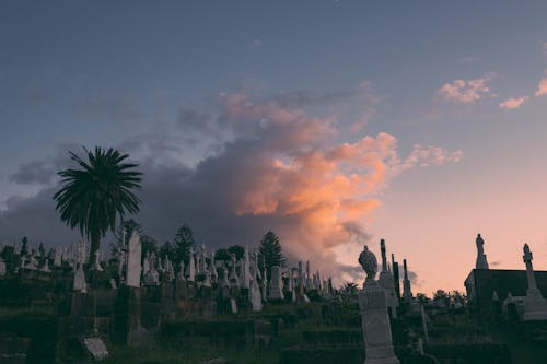 Free Grave Markers in a Cemetery Stock Photo