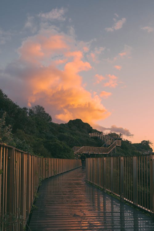 Metallic Pathway on the Hillside