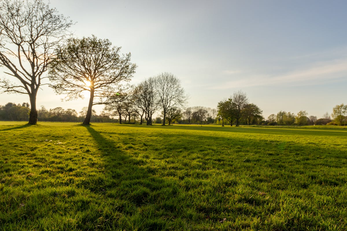 Scientist examining rats in a controlled laboratory environment