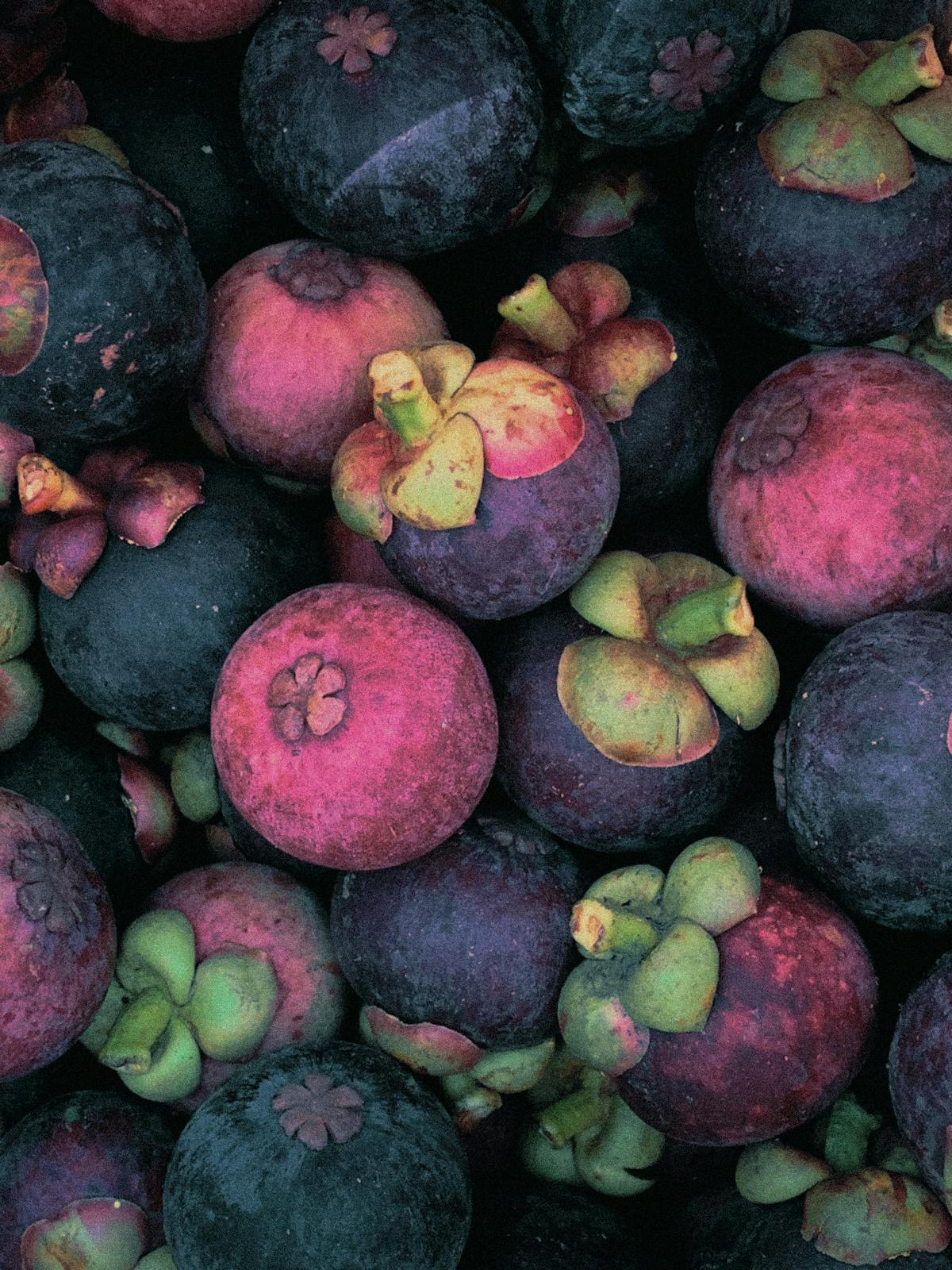 Garcinia Photos, Download The BEST Free Garcinia Stock Photos & HD Images